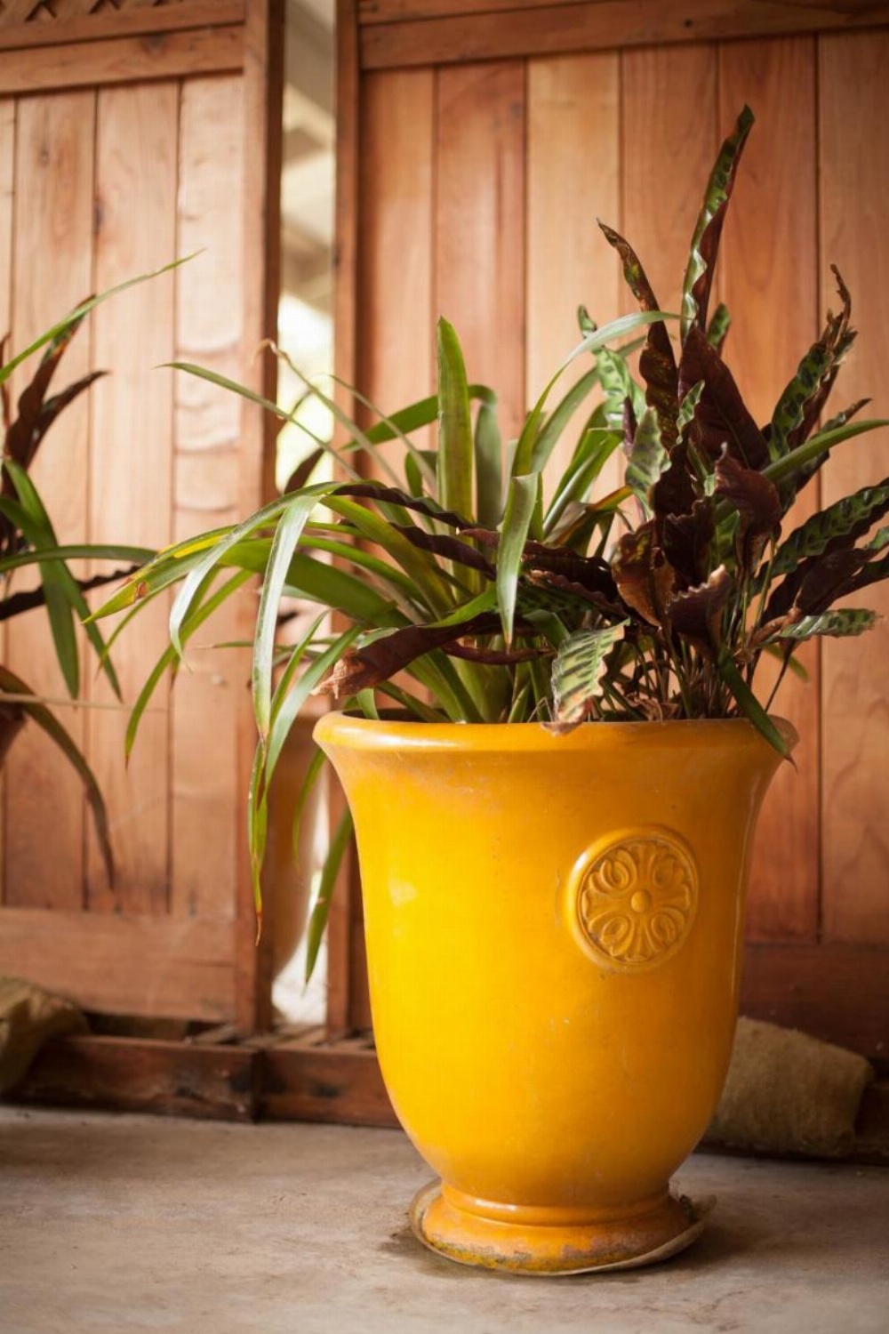 5th Street Ohana Main image